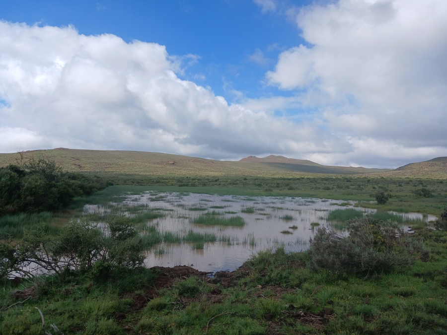 0 Bedroom Property for Sale in Richmond Rural Northern Cape